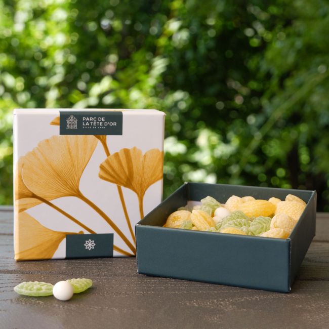 Coffret Ginko Violette & Berlingot