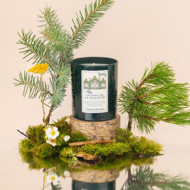 bougie ombres portées parfumeur dans les fleurs 