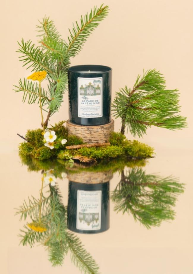 mise en scène de la bougie dans les pins