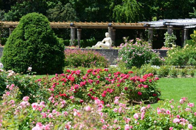 la roseraie internationale