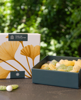 Le coffret Ginko
