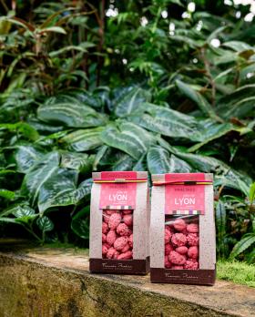 2 sachets de pralines roses de 150g